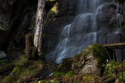 View of waterfall in forest