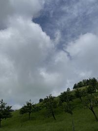 Trees on field against sky