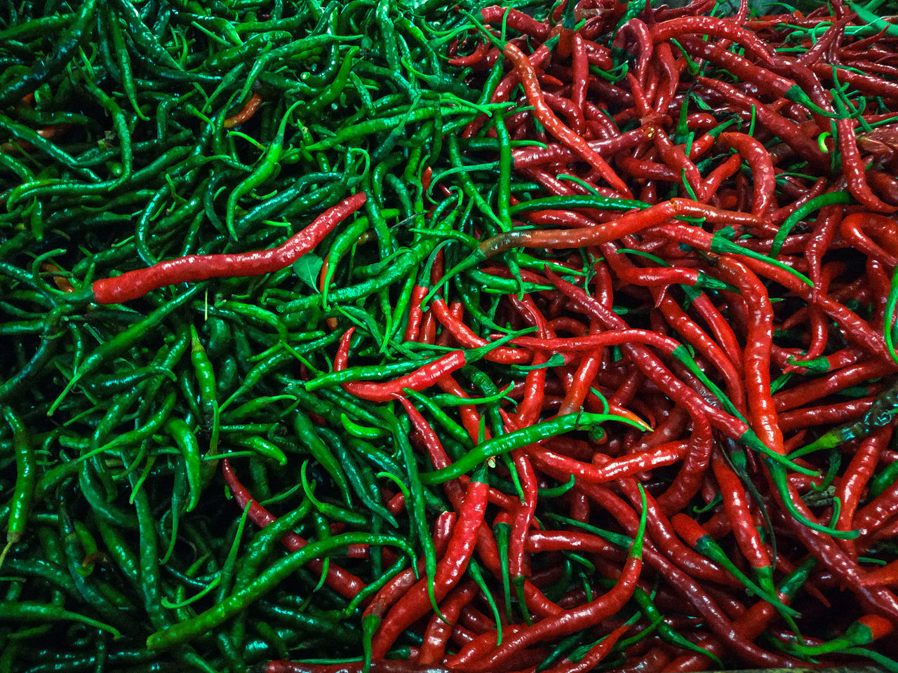 FULL FRAME SHOT OF RED CHILI PEPPERS ON GREEN GRASS