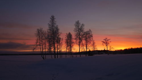 Silhouette trees on landscape against sky during sunset