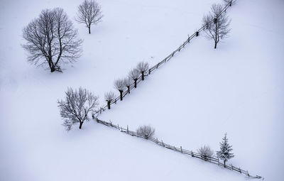 High angle view of bare trees on snow covered land