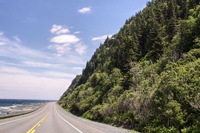 Road amidst trees against sky