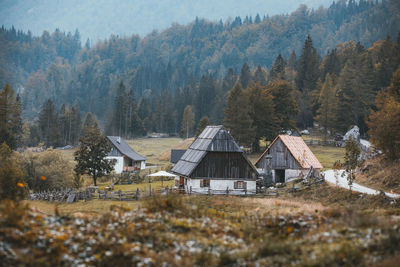 Houses by trees and plants in forest