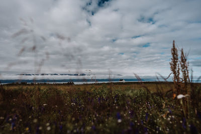 nature