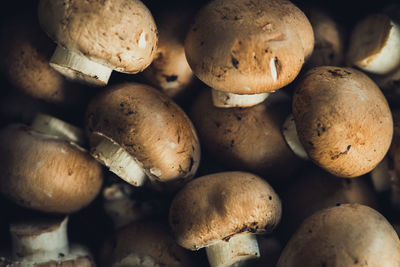 Full frame shot of mushrooms