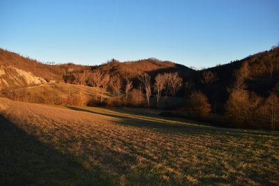 Scenic view of field against clear blue sky