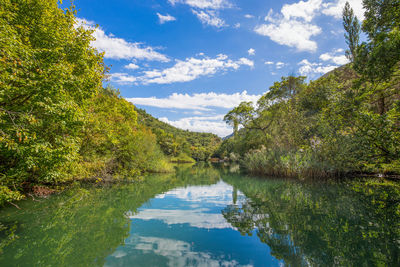 Scenic view of lake by trees against sky