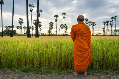 Rear view of man standing on field