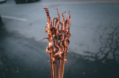 Close-up of rusty metal in water