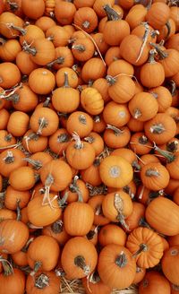 High angle view of pumpkins for sale at market stall