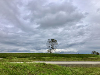 Tree on field against clouded sky