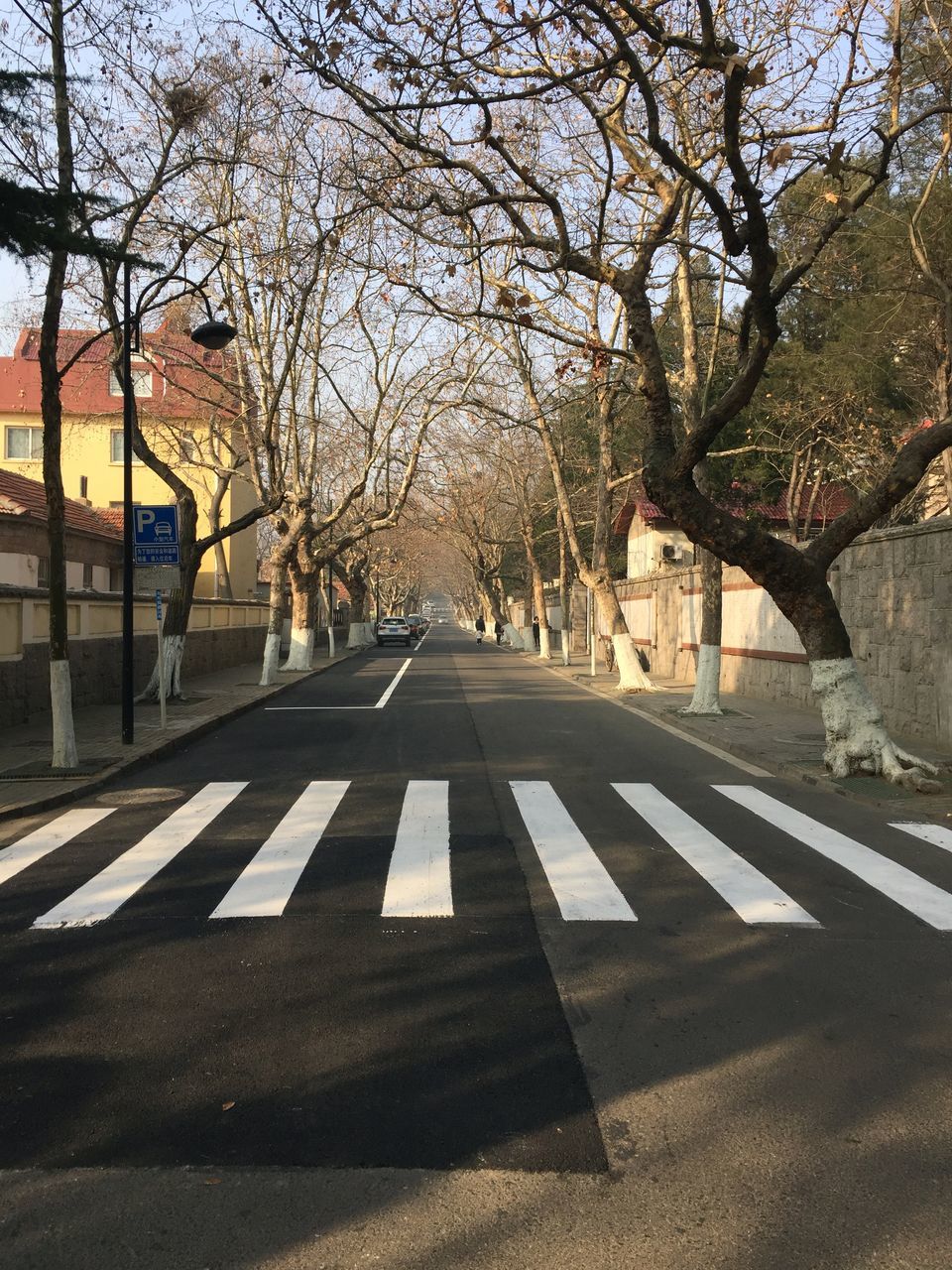 the way forward, tree, transportation, road marking, road, diminishing perspective, road sign, street, built structure, text, vanishing point, communication, arrow symbol, architecture, guidance, building exterior, city, empty, bare tree, sky