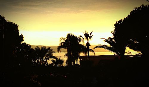 Silhouette palm trees at sunset