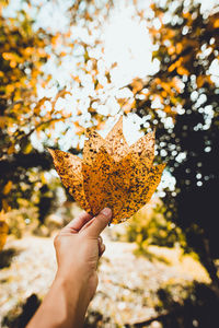 Close-up of human hand holding leaves during autumn