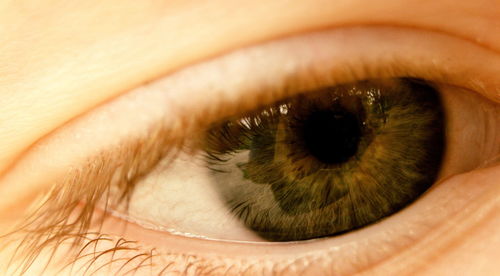 Extreme close up of human eye