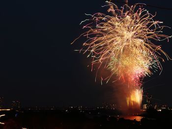 Low angle view of firework display against sky at night