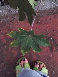 Low section of man on leaf