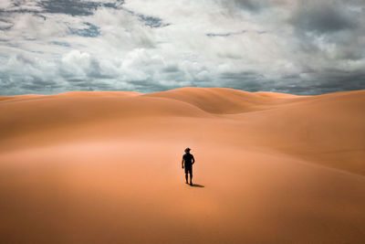 Rear view of man walking at desert
