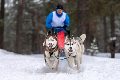 Man with dog in snow