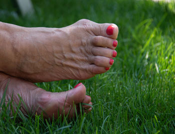 Close-up of man hand holding grass on field