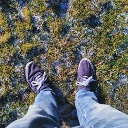 Low section of man standing on grass