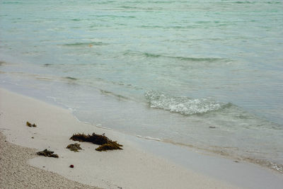 High angle view of beach