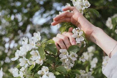 Cropped hand of woman holding flowers