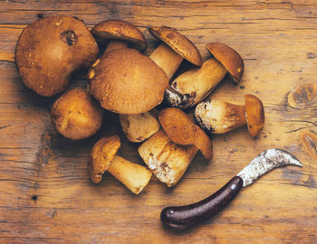 High angle view of mushrooms on wooden table