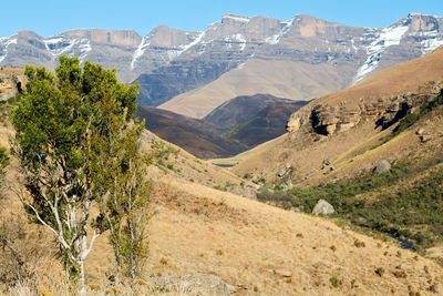 Scenic view of landscape and mountains