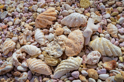 Full frame shot of pebbles