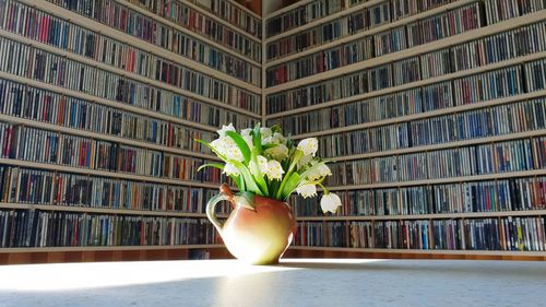 Close-up of potted plant on table at home