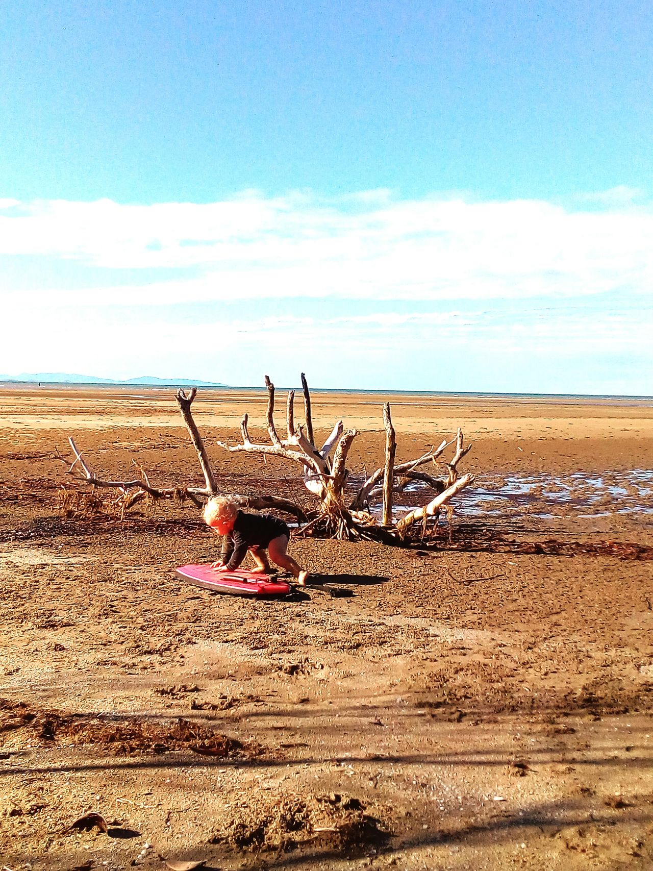 Northqld