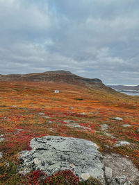Scenic view of landscape against sky