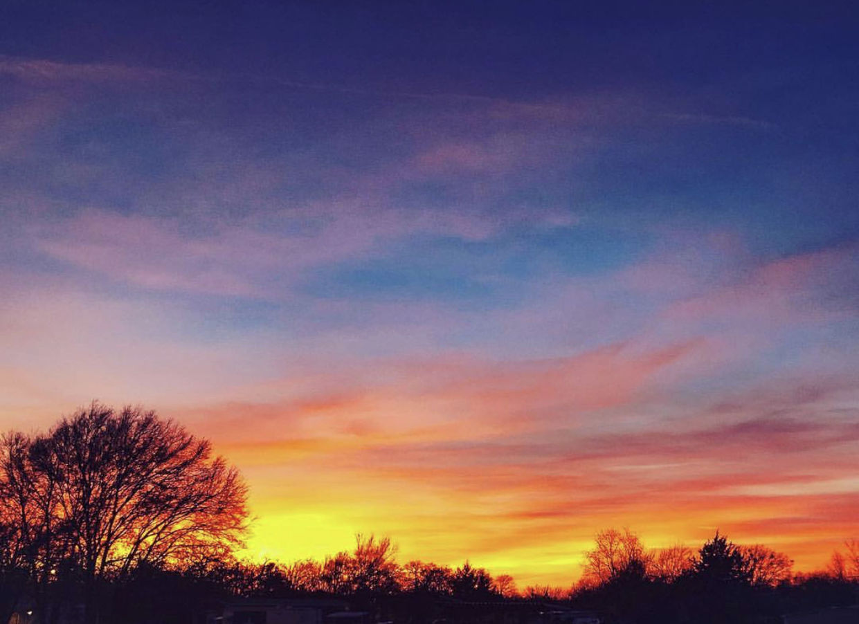 SILHOUETTE TREES AGAINST SKY AT SUNSET