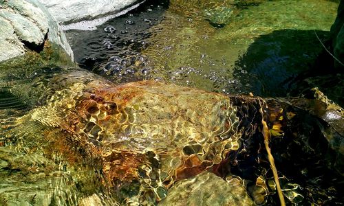 Rocks in sea