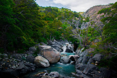 Scenic view of waterfall in forest