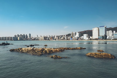Sea and buildings in city against sky