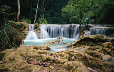 Scenic view of waterfall in forest