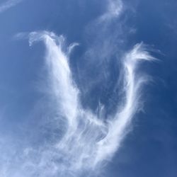 Low angle view of vapor trail in sky