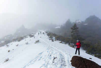 Rear view of person standing on snowcapped mountain