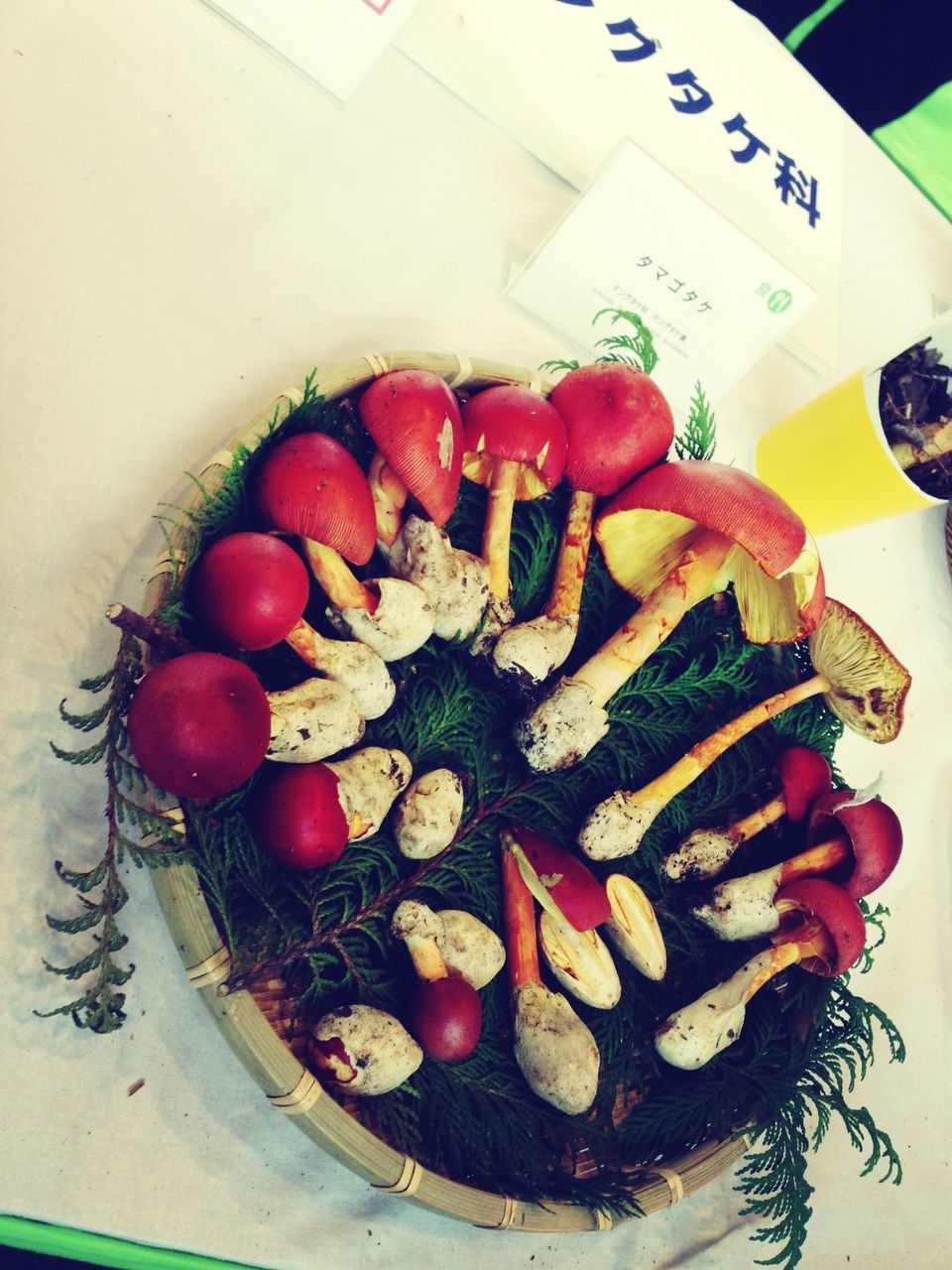 food and drink, food, indoors, freshness, healthy eating, still life, fruit, table, high angle view, variation, plate, vegetable, tomato, close-up, no people, directly above, multi colored, ripe, ready-to-eat, slice