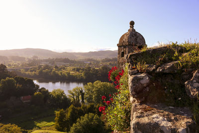 Plants by historic building against sky