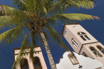 Low angle view of palm trees against sky