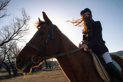Low angle portrait of woman riding horse against clear sky