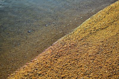 High angle view of pebbles on beach