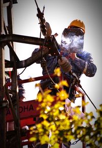 Low angle view of tree against sky