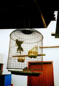 Low angle view of bird in cage