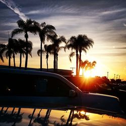 Silhouette of palm trees at sunset