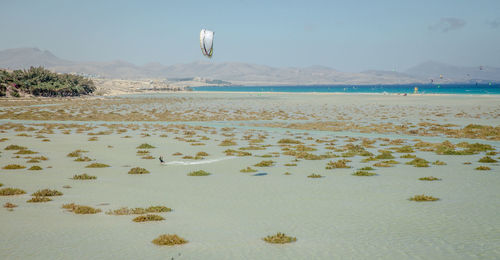 Scenic view of beach against clear sky