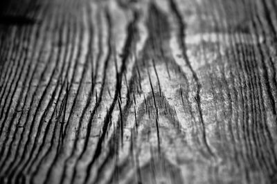 Full frame shot of leaf